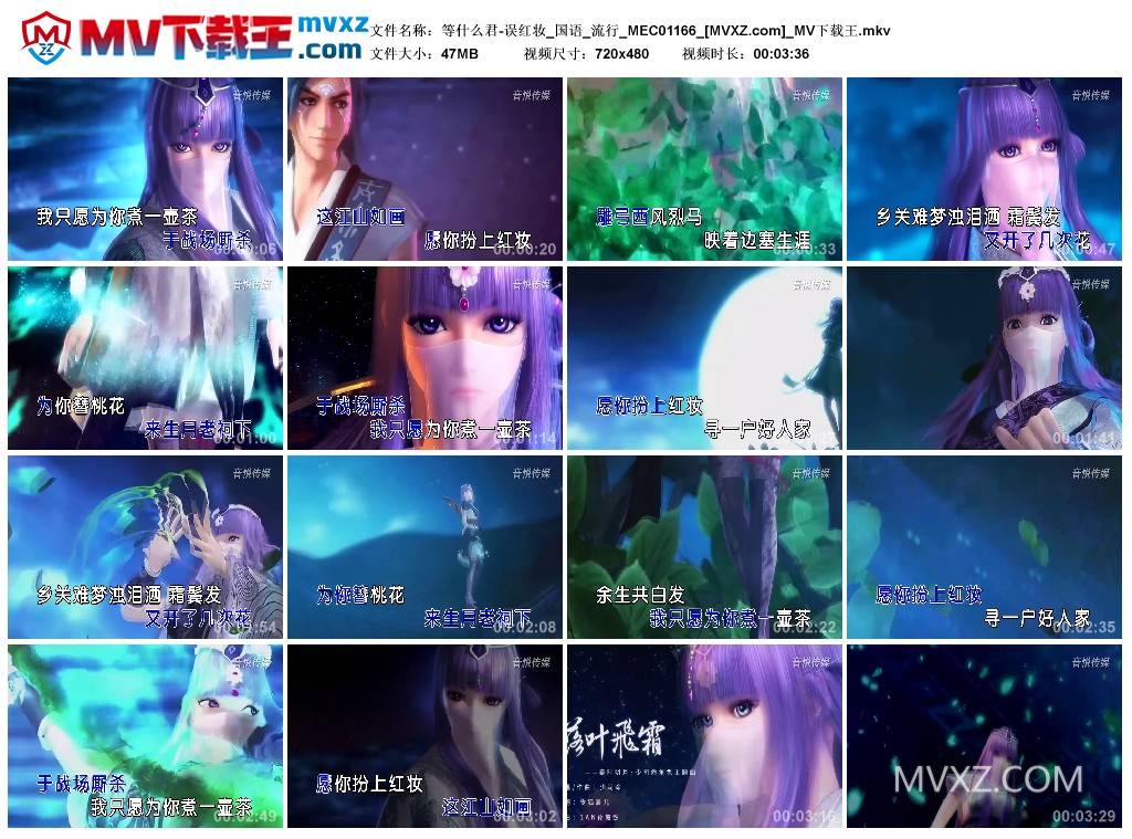 等什么君-误红妆_国语_流行_MEC01166